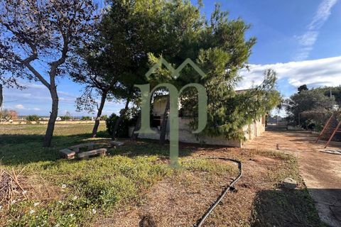Landejendom i Carovigno, Brindisi, Carovigno - € 149.000 | Ref: Villa Guaceto - foto 15